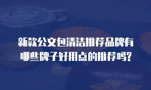新款公文包清洁推荐品牌有哪些牌子好用点的推荐吗?