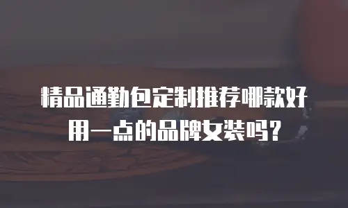 精品通勤包定制推荐哪款好用一点的品牌女装吗？