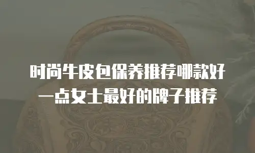 时尚牛皮包保养推荐哪款好一点女士最好的牌子推荐