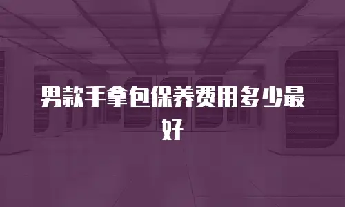 男款手拿包保养费用多少最好