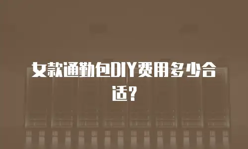 女款通勤包DIY费用多少合适？