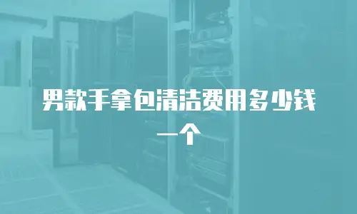 男款手拿包清洁费用多少钱一个