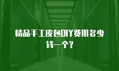 精品手工皮包DIY费用多少钱一个？