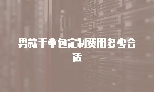 男款手拿包定制费用多少合适