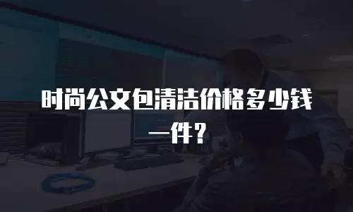 时尚公文包清洁价格多少钱一件？