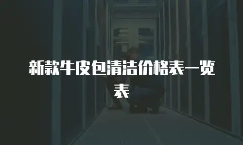 新款牛皮包清洁价格表一览表