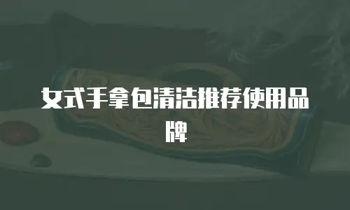 女式手拿包清洁推荐使用品牌