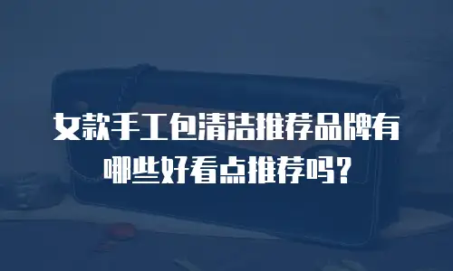 女款手工包清洁推荐品牌有哪些好看点推荐吗？