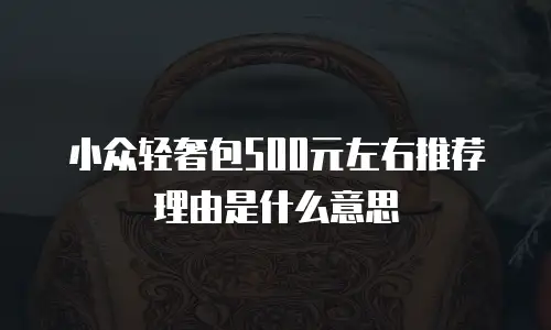 小众轻奢包500元左右推荐理由是什么意思