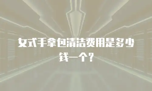 女式手拿包清洁费用是多少钱一个？