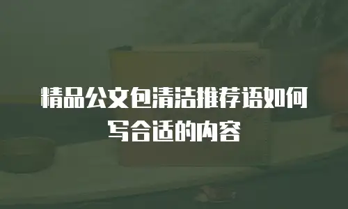 精品公文包清洁推荐语如何写合适的内容