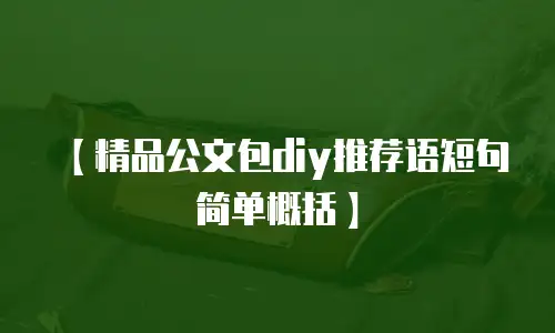 【精品公文包diy推荐语短句简单概括】