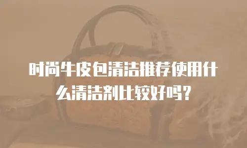 时尚牛皮包清洁推荐使用什么清洁剂比较好吗？