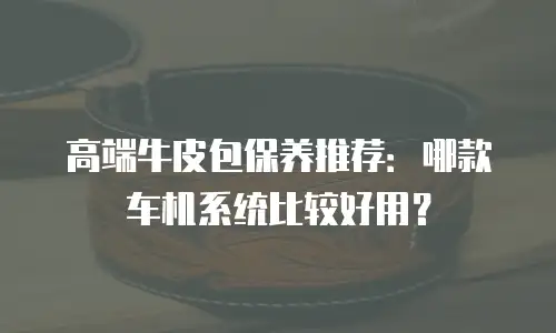 高端牛皮包保养推荐：哪款车机系统比较好用？