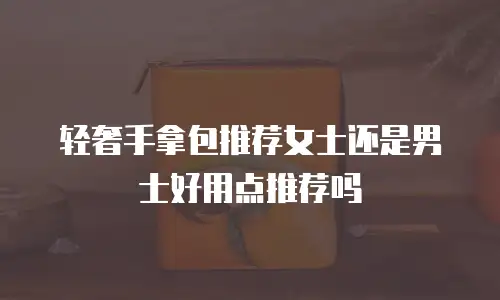 轻奢手拿包推荐女士还是男士好用点推荐吗
