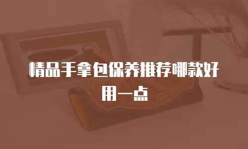 精品手拿包保养推荐哪款好用一点
