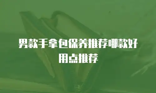 男款手拿包保养推荐哪款好用点推荐