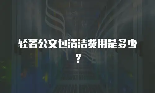 轻奢公文包清洁费用是多少？