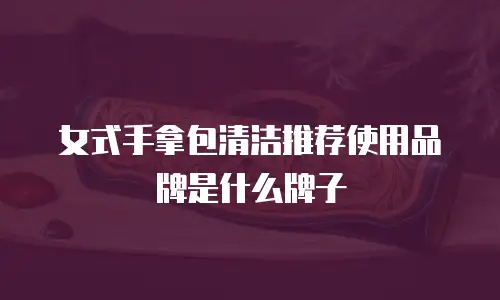 女式手拿包清洁推荐使用品牌是什么牌子
