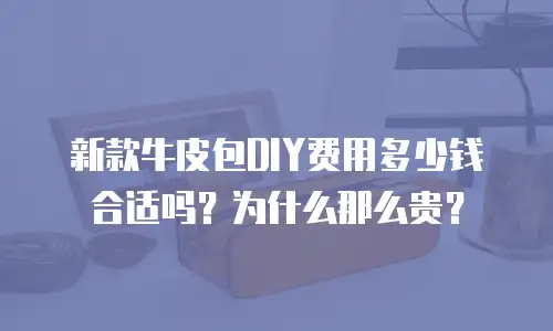 新款牛皮包DIY费用多少钱合适吗？为什么那么贵？