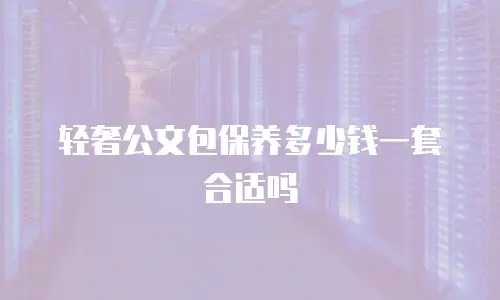 轻奢公文包保养多少钱一套合适吗