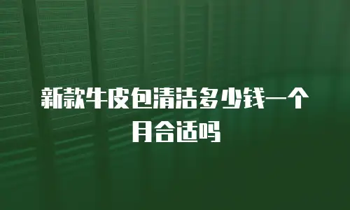 新款牛皮包清洁多少钱一个月合适吗