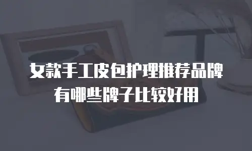 女款手工皮包护理推荐品牌有哪些牌子比较好用