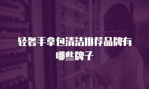 轻奢手拿包清洁推荐品牌有哪些牌子