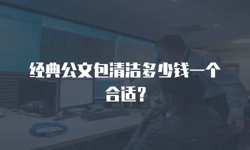 经典公文包清洁多少钱一个合适？
