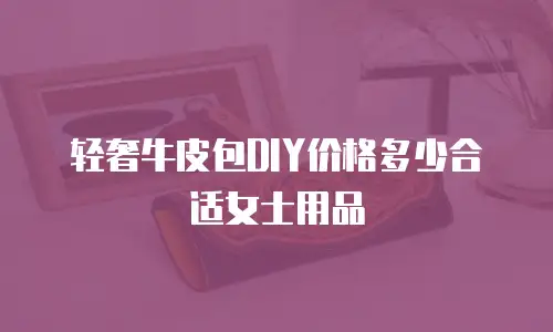 轻奢牛皮包DIY价格多少合适女士用品