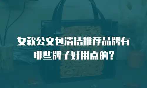 女款公文包清洁推荐品牌有哪些牌子好用点的？