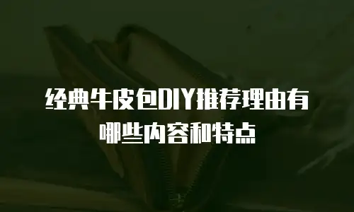 经典牛皮包DIY推荐理由有哪些内容和特点