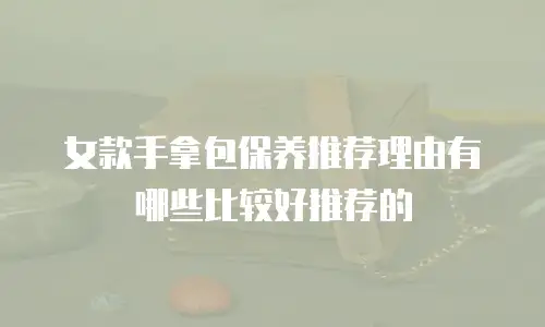女款手拿包保养推荐理由有哪些比较好推荐的