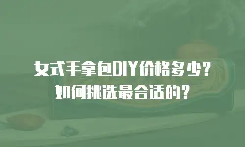 女式手拿包DIY价格多少？如何挑选最合适的？