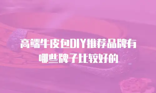 高端牛皮包DIY推荐品牌有哪些牌子比较好的
