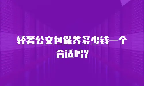 轻奢公文包保养多少钱一个合适吗？