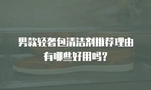 男款轻奢包清洁剂推荐理由有哪些好用吗？