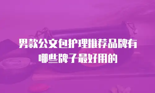 男款公文包护理推荐品牌有哪些牌子最好用的