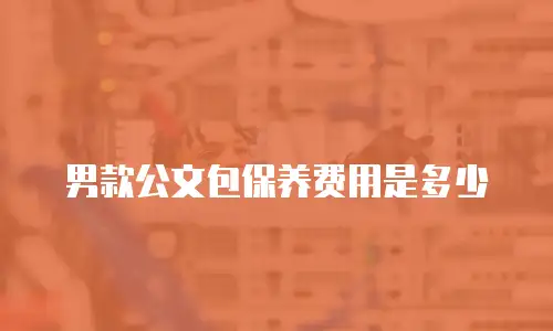 男款公文包保养费用是多少