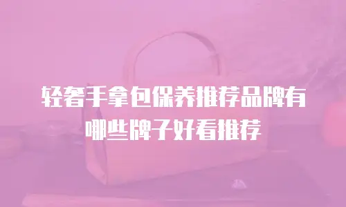 轻奢手拿包保养推荐品牌有哪些牌子好看推荐