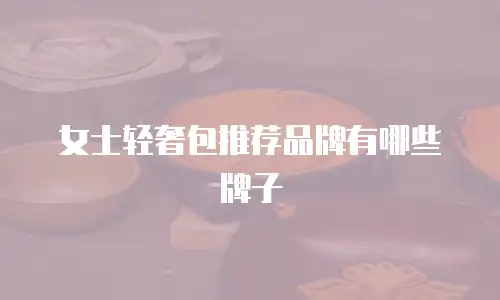 女士轻奢包推荐品牌有哪些牌子