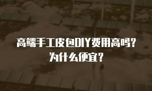 高端手工皮包DIY费用高吗？为什么便宜？