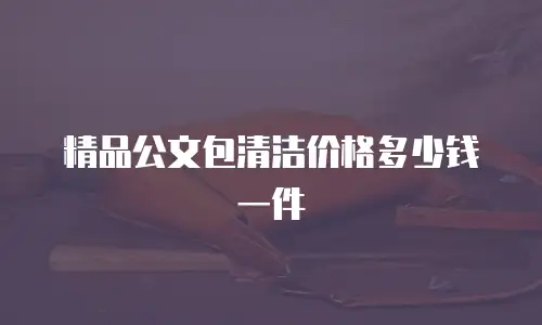 精品公文包清洁价格多少钱一件