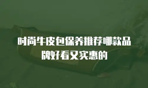时尚牛皮包保养推荐哪款品牌好看又实惠的
