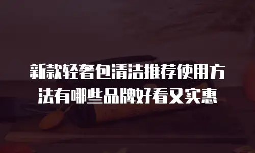 新款轻奢包清洁推荐使用方法有哪些品牌好看又实惠
