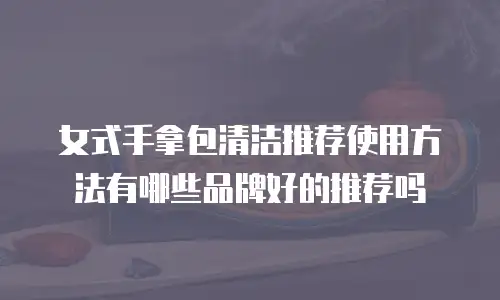 女式手拿包清洁推荐使用方法有哪些品牌好的推荐吗