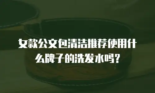 女款公文包清洁推荐使用什么牌子的洗发水吗？