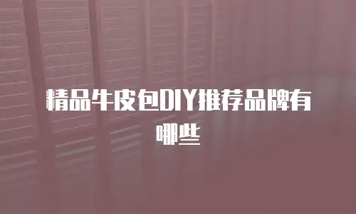 精品牛皮包DIY推荐品牌有哪些