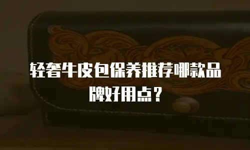 轻奢牛皮包保养推荐哪款品牌好用点？