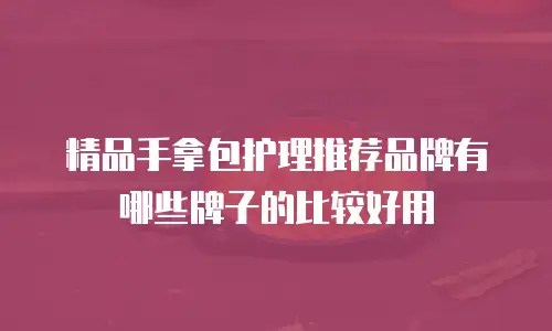 精品手拿包护理推荐品牌有哪些牌子的比较好用